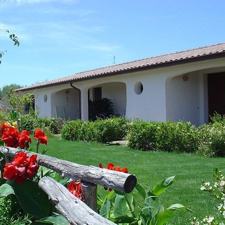 Agriturismo Mulinu Betzu San Vero Milis Exterior photo